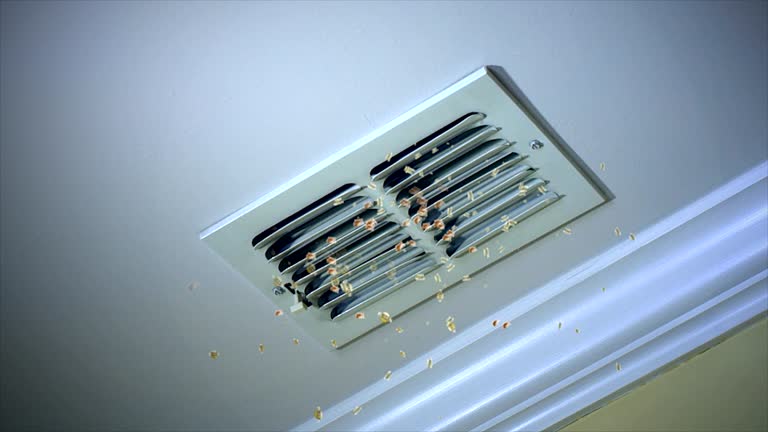 Best HVAC System Cleaning  in Woodridge, IL