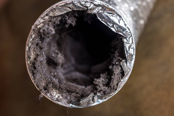 Best Local Air Duct Cleaning Services  in Woodridge, IL